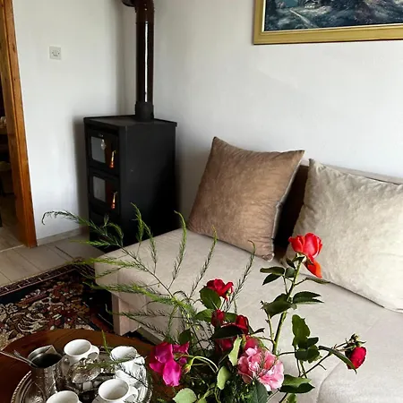 Oaza Mira Holiday home *